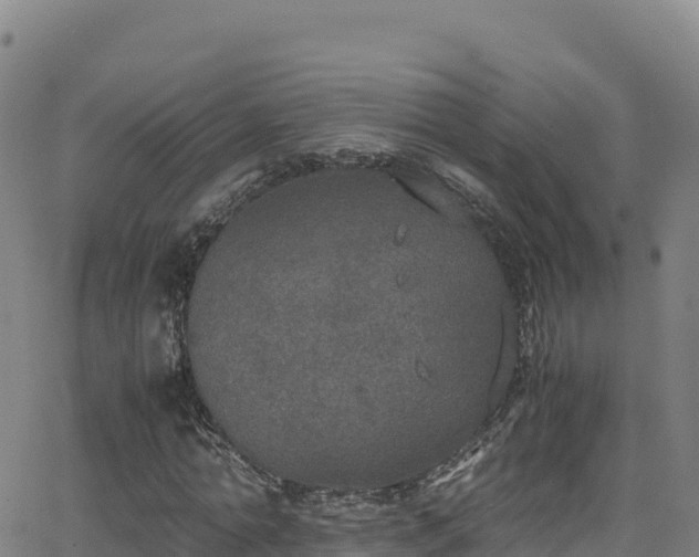 X0000062930774200601181309