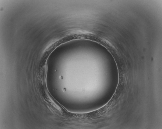 X0000062930775200601181309