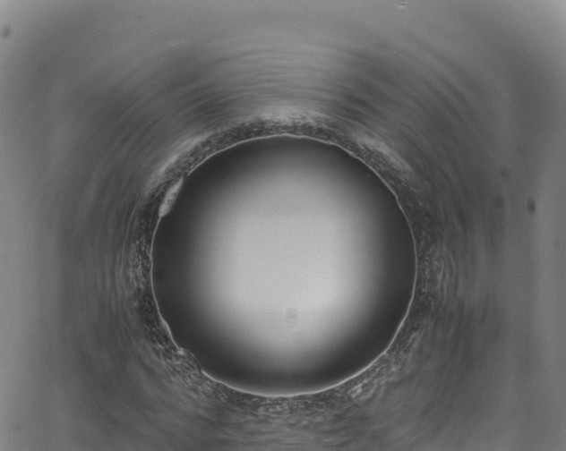 X0000062930776200601181308