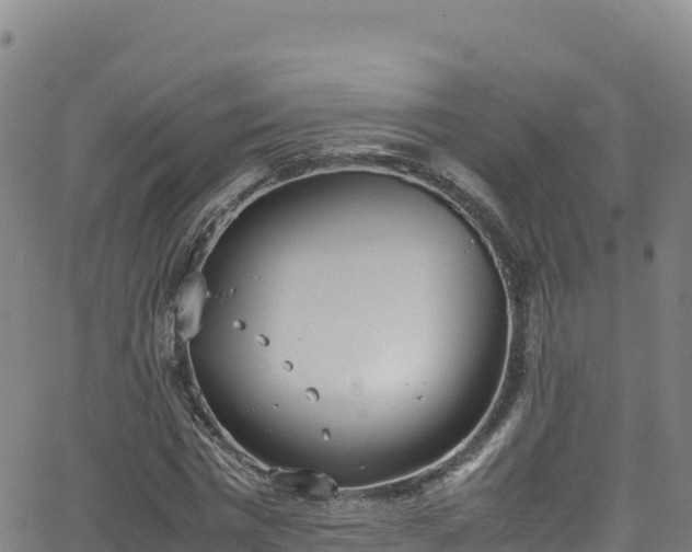 X0000062930777200601181308