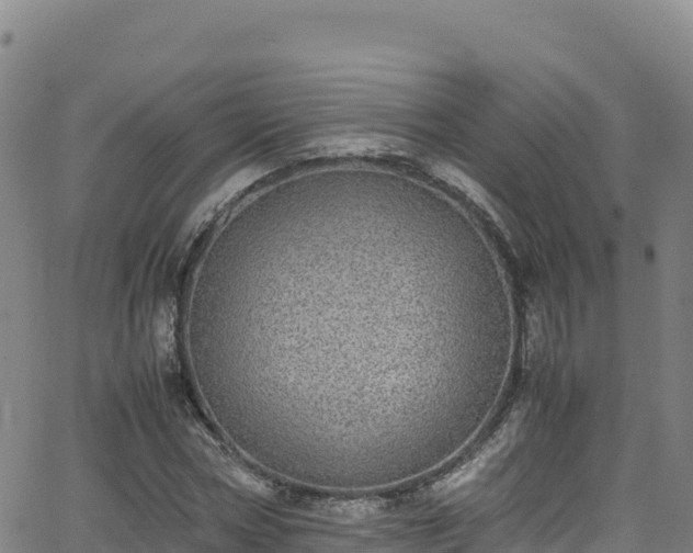 X0000062930778200601181308