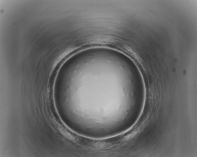 X0000062930779200601181308