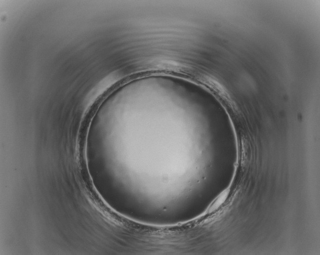 X0000062930780200601181308