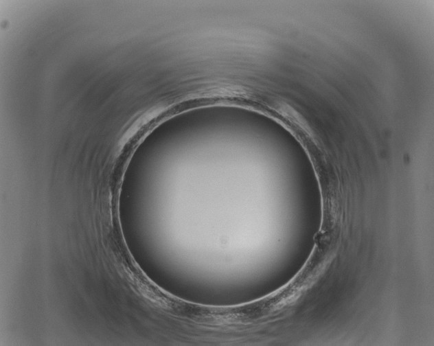 X0000062930781200601181308