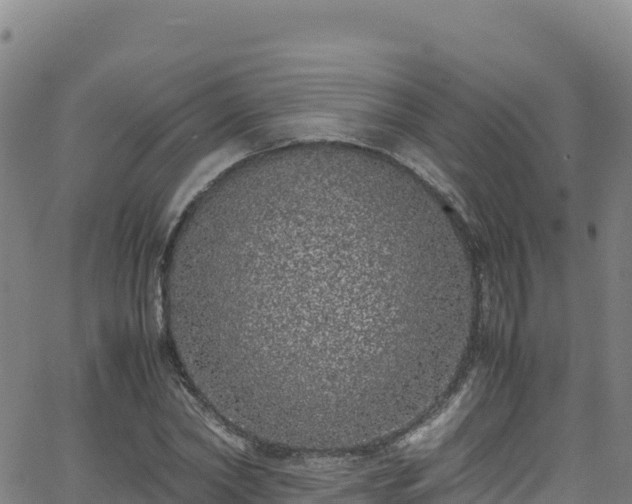 X0000062930782200601181308