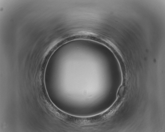 X0000062930783200601181308