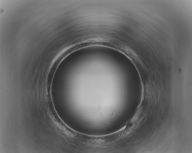 X0000062930784200601181308