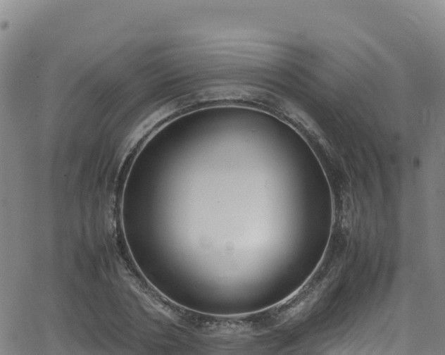 X0000062930786200601181308