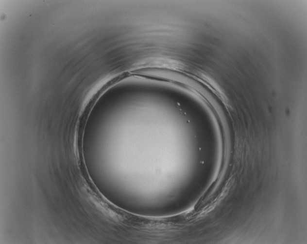 X0000062930788200601181308