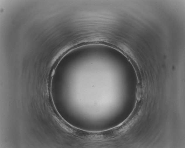 X0000062930789200601181308