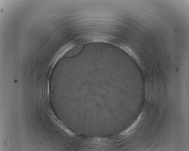 X0000062930790200601181308