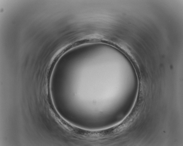 X0000062930791200601181308