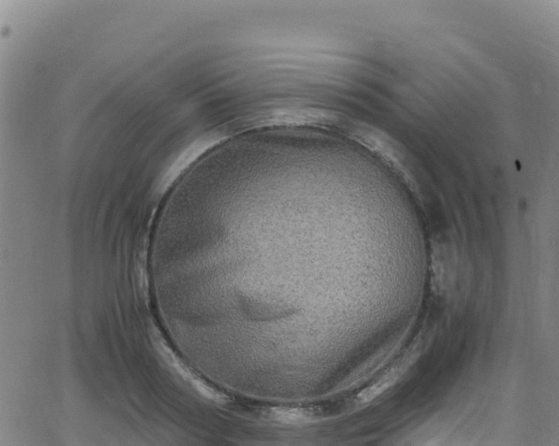 X0000062930794200601181308