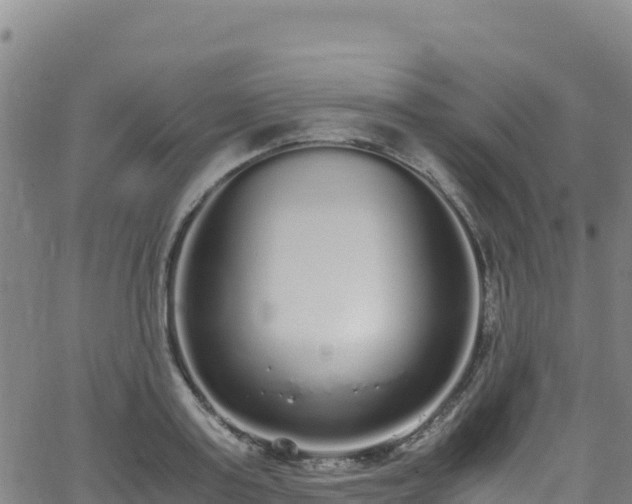 X0000062930795200601181308