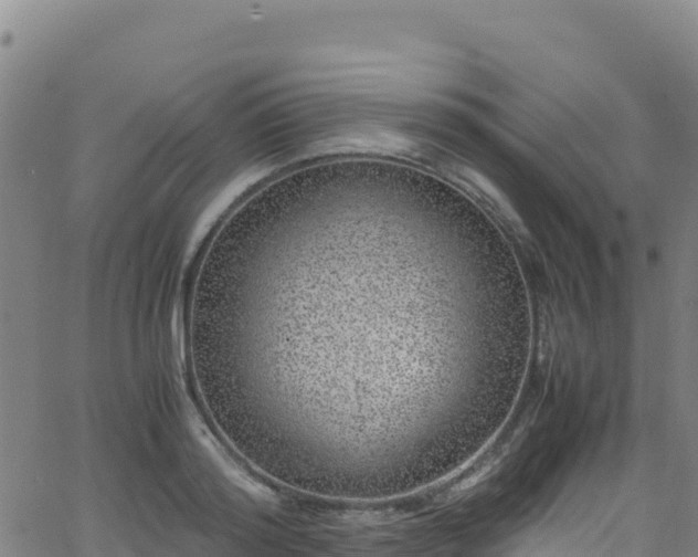 X0000062930796200601181308