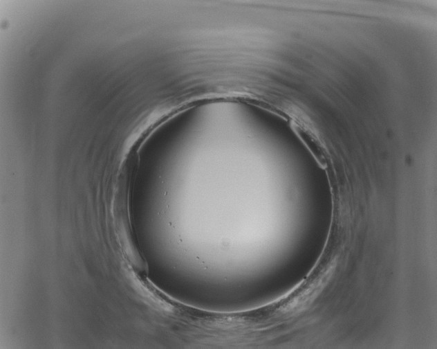 X0000062930797200601181308