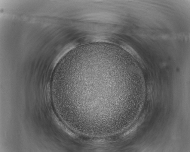 X0000062930798200601181308