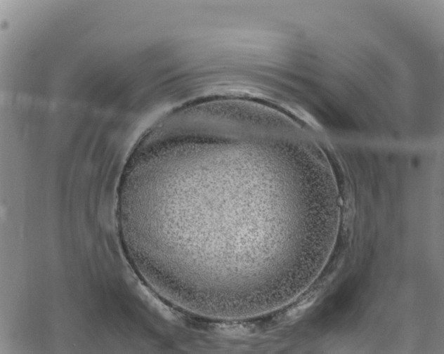 X0000062930799200601181308