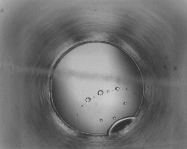 X0000062930800200601181308