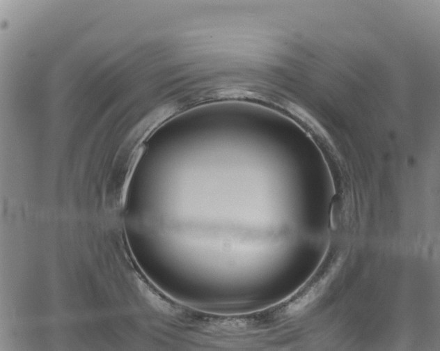 X0000062930801200601181308