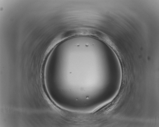 X0000062930803200601181308