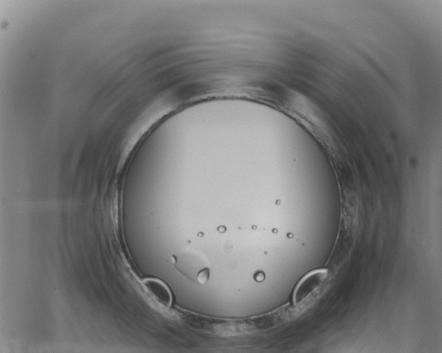 X0000062930804200601181308