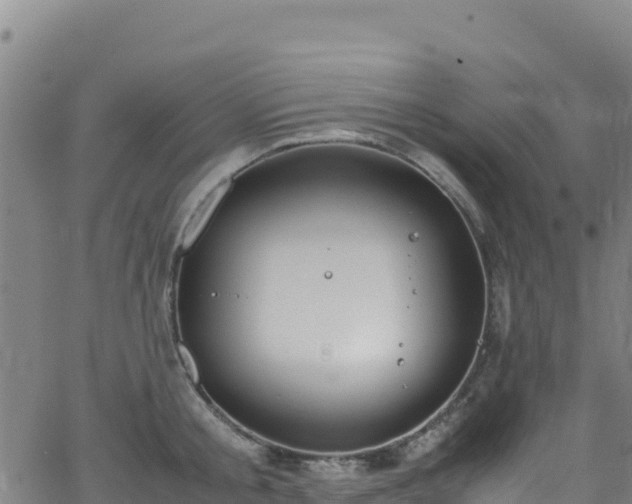 X0000062930805200601181308