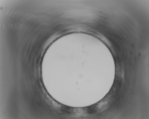 X0000062930807200601181308