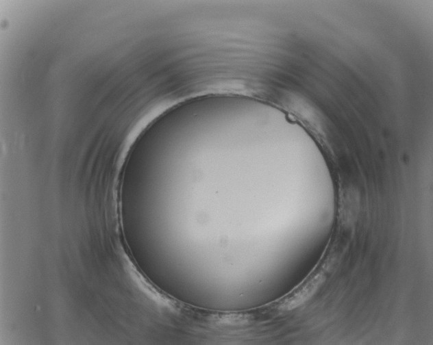 X0000062930808200601181308