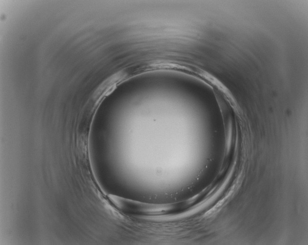 X0000062930809200601181308