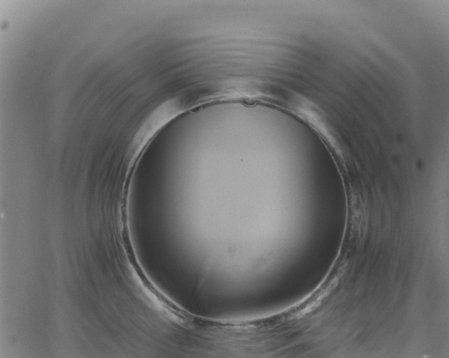 X0000062930810200601181308