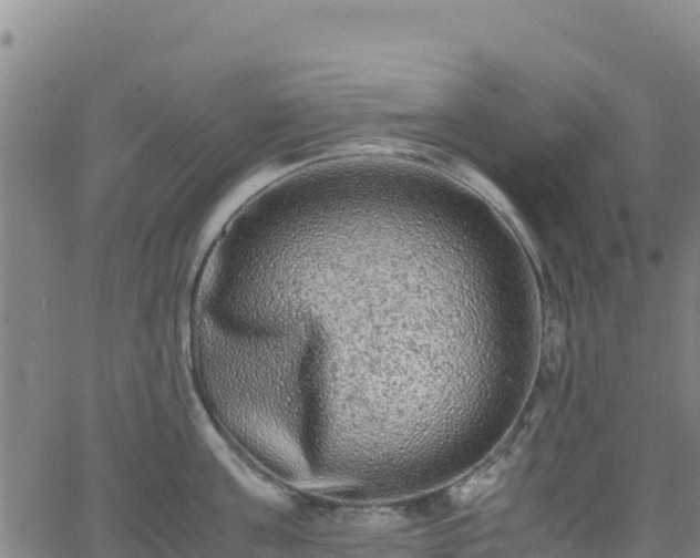 X0000062930811200601181308