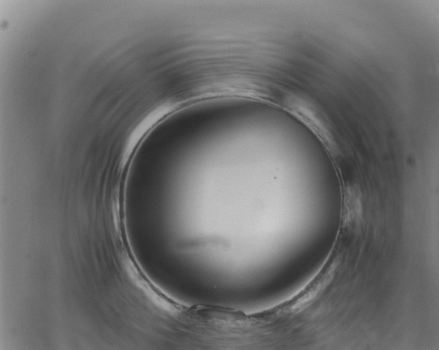 X0000062930812200601181308