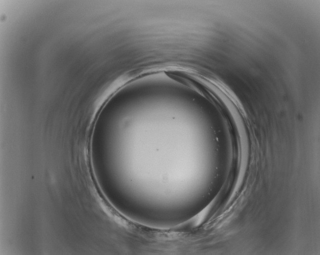 X0000062930813200601181308