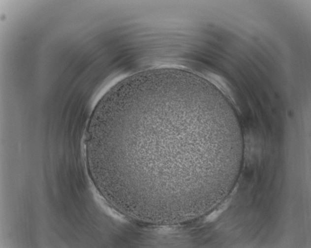 X0000062930814200601181308