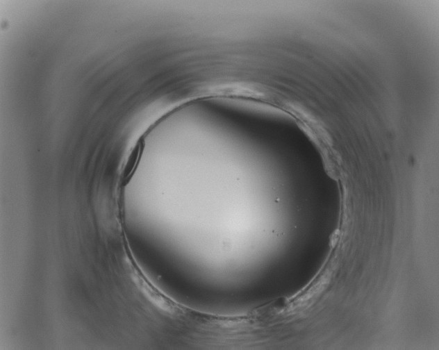 X0000062930816200601181308