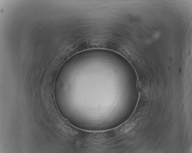 X0000062930817200601181307