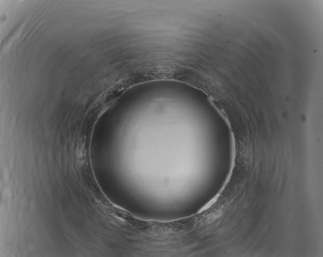 X0000062930818200601181307