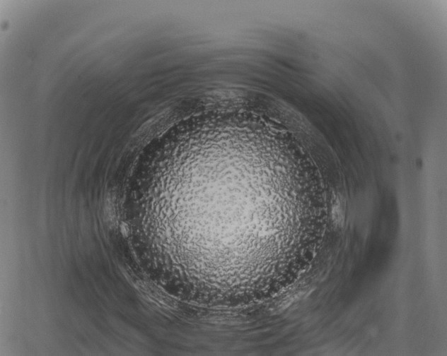 X0000062930819200601181307