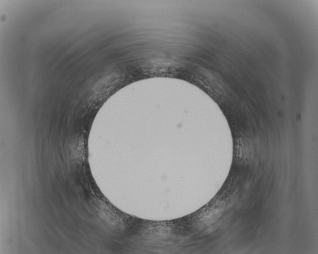 X0000062930820200601181307