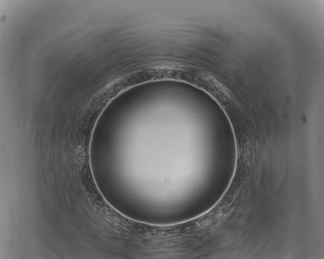 X0000062930821200601181307