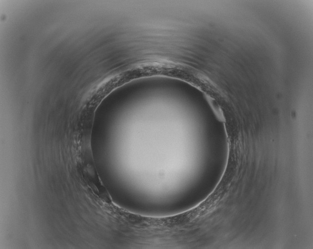 X0000062930822200601181307