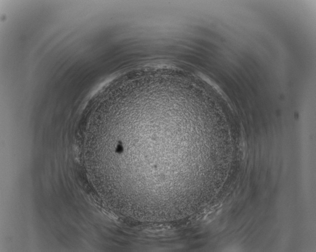 X0000062930823200601181307