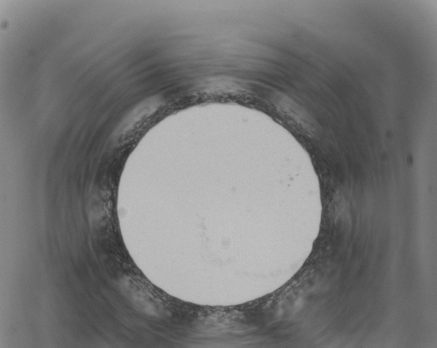 X0000062930824200601181307