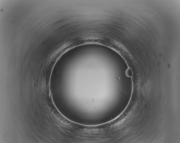 X0000062930825200601181307