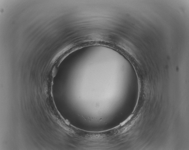 X0000062930826200601181307