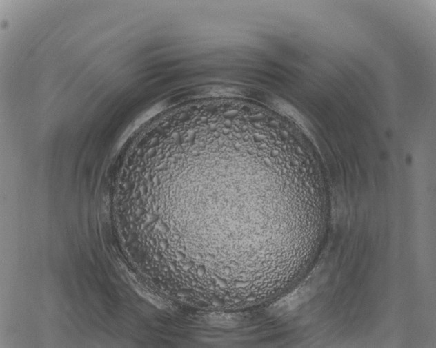 X0000062930827200601181307