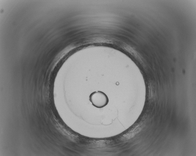 X0000062930828200601181307