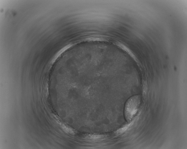 X0000062930829200601181307