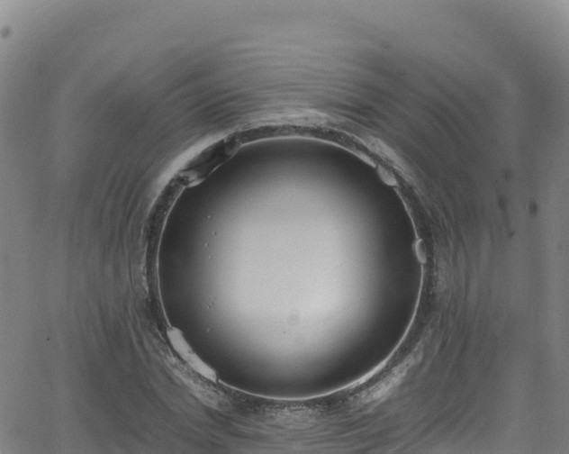 X0000062930830200601181307